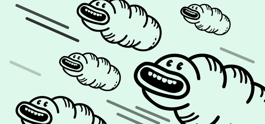 Merchandise for Fans