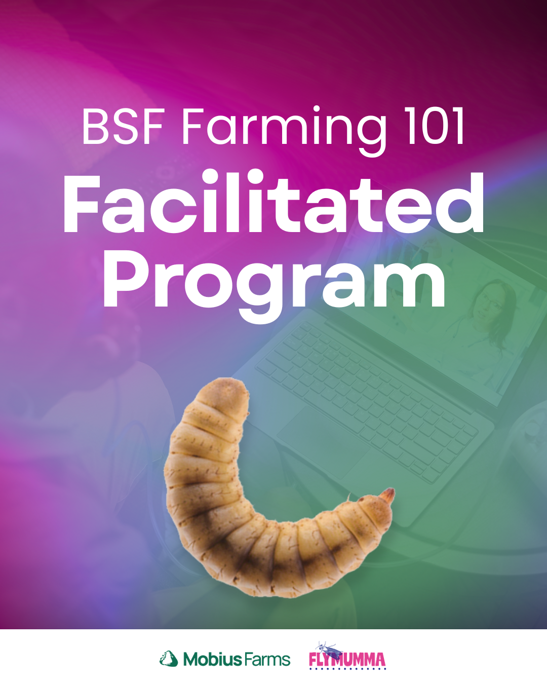 BSF Farming 101 Course - Facilitated Program
