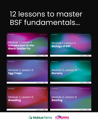 BSF Farming 101 Course - Digital Access
