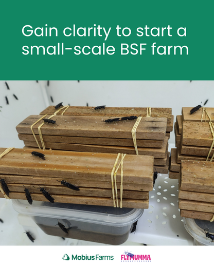 BSF Farming 101 Course - Facilitated Program