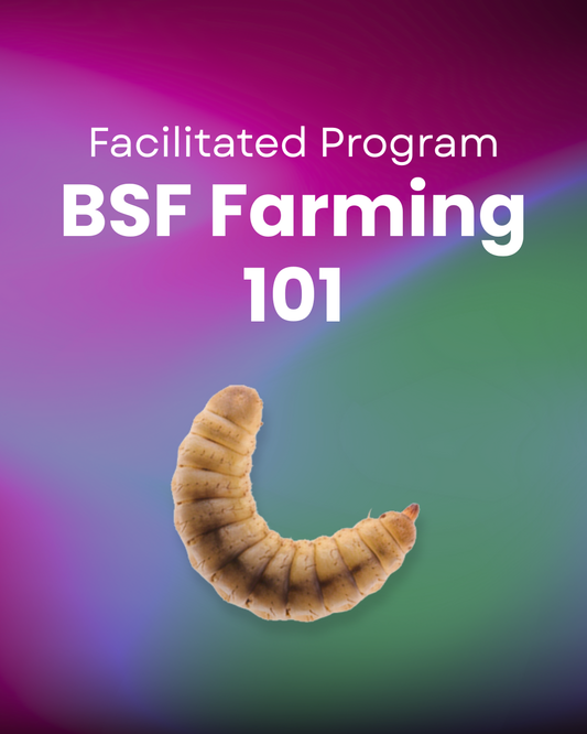 BSF101 Farming Course - Facilitated Program