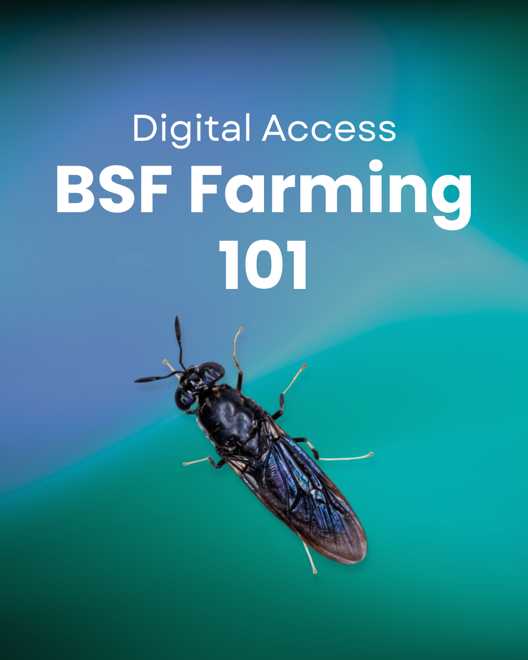 BSF101 Farming Course - Digital Access