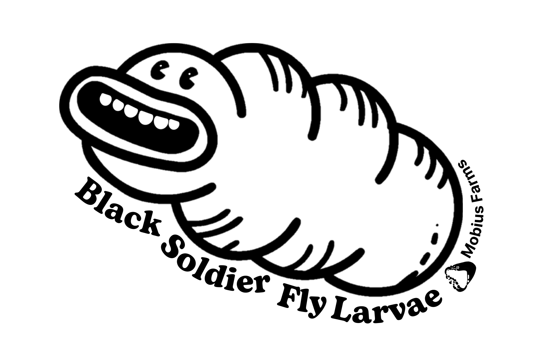Black and white illustration of a black soldier fly larva with text on a white background