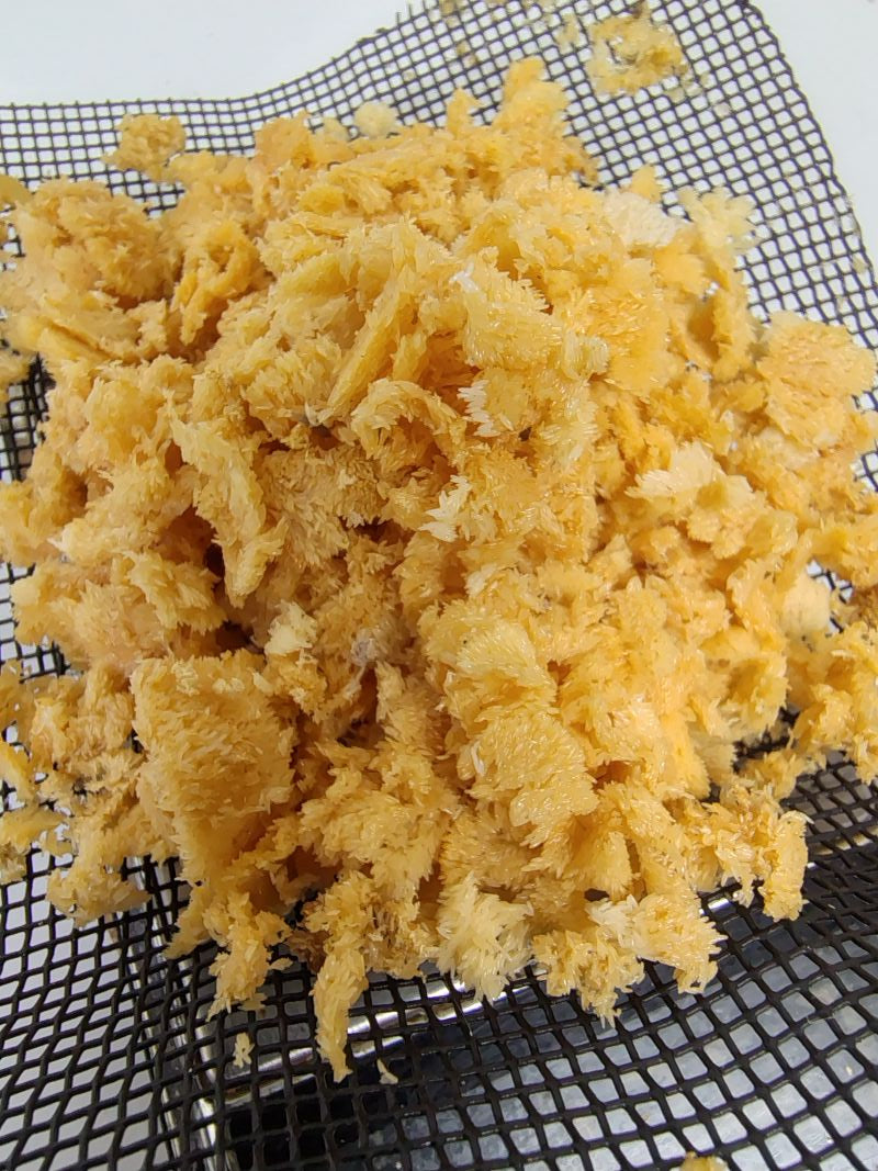 BSF101 Farming Course - Digital Access