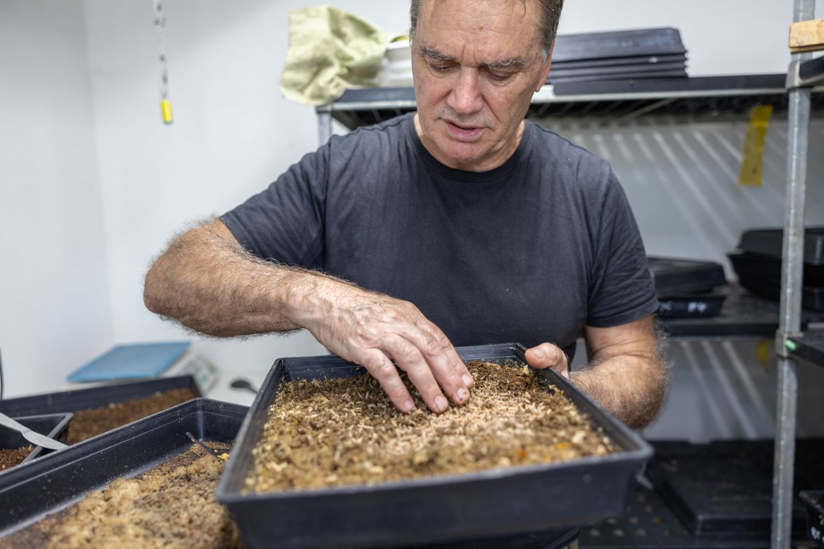 BSF101 Farming Course - Digital Access