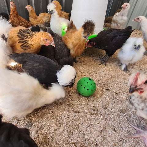 Chick Stix Treat Ball